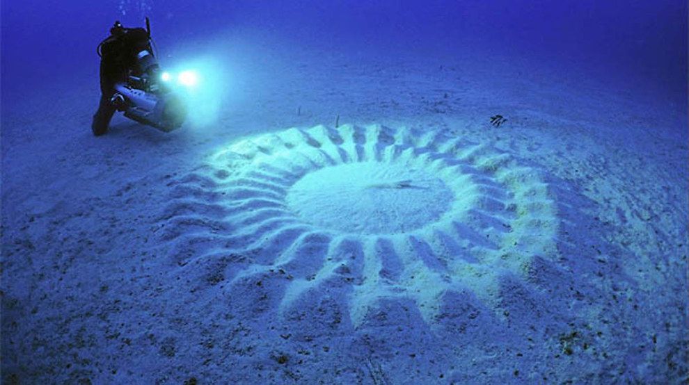 Who Made These Under Water Crop Circles?