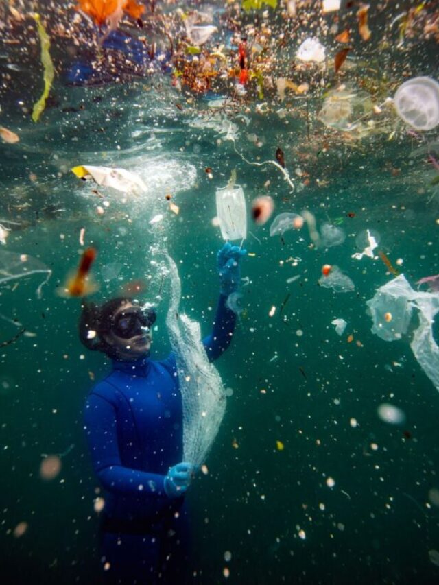 Plastic Spheres & Biofilms Viruses Survive Better & Spread More