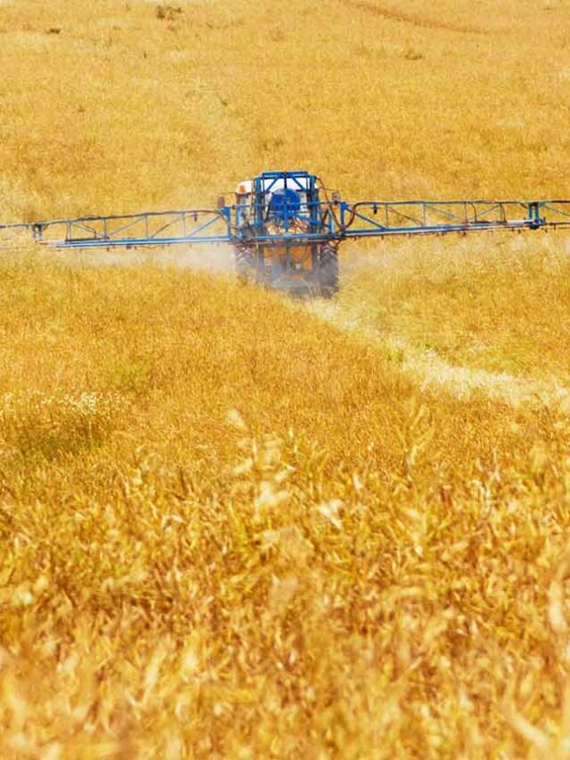 Many Americans May Be Exposed To A Cancer Causing  Chemical Every Day.