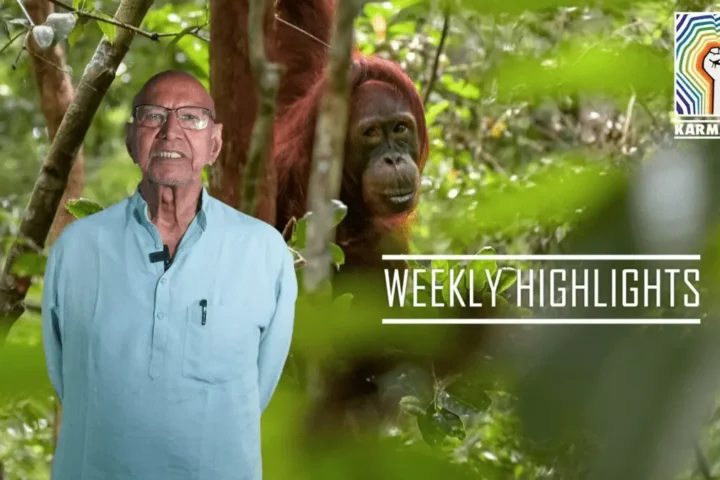 69% Decline In Wildlife – WWF, New Zealand’s Livestock Tax, Nature Have A Legal Status In Spain, Bolivia & Ecuador – News Round Up