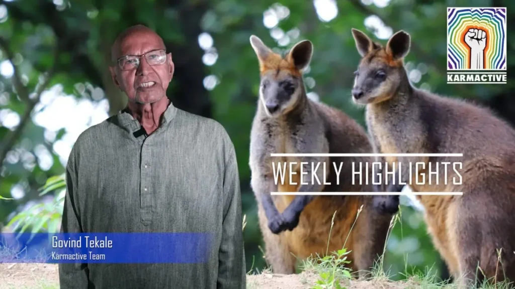 Sydney’s Wettest Year Since 1858, Unborn Babies Exposed To Air Pollution, Biden Says End Of Climate Discussion & More – Weekly News