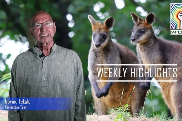 Sydney’s Wettest Year Since 1858, Unborn Babies Exposed To Air Pollution, Biden Says End Of Climate Discussion & More – Weekly News