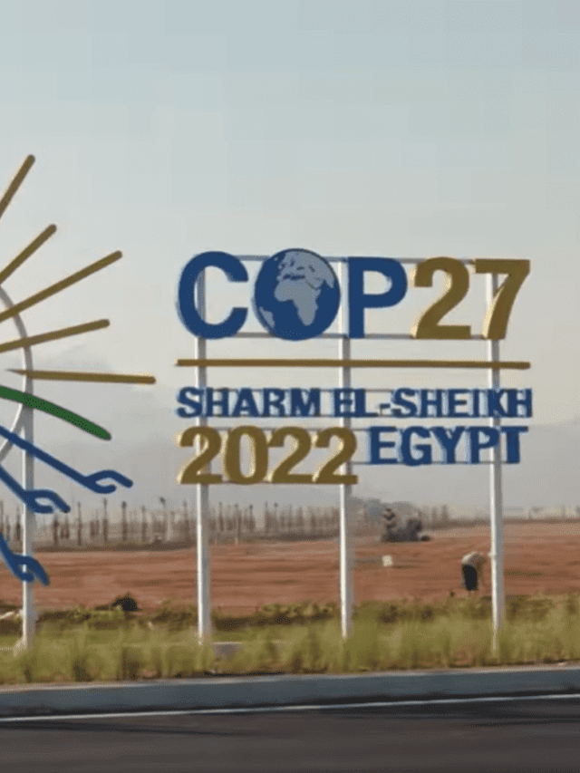 Voices Of Dissent From COP27