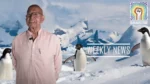 Drop In Adélie Penguin Numbers, Venice Amidst Floods, Berlin Airport Shut By Protestors & More – Weekly News