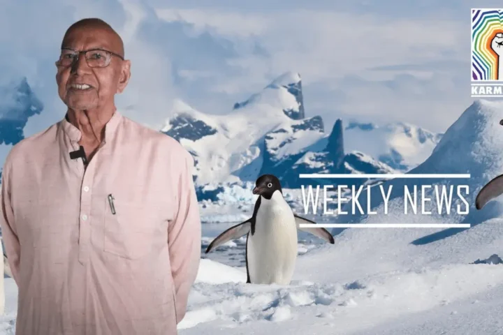 Drop In Adélie Penguin Numbers, Venice Amidst Floods, Berlin Airport Shut By Protestors & More – Weekly News