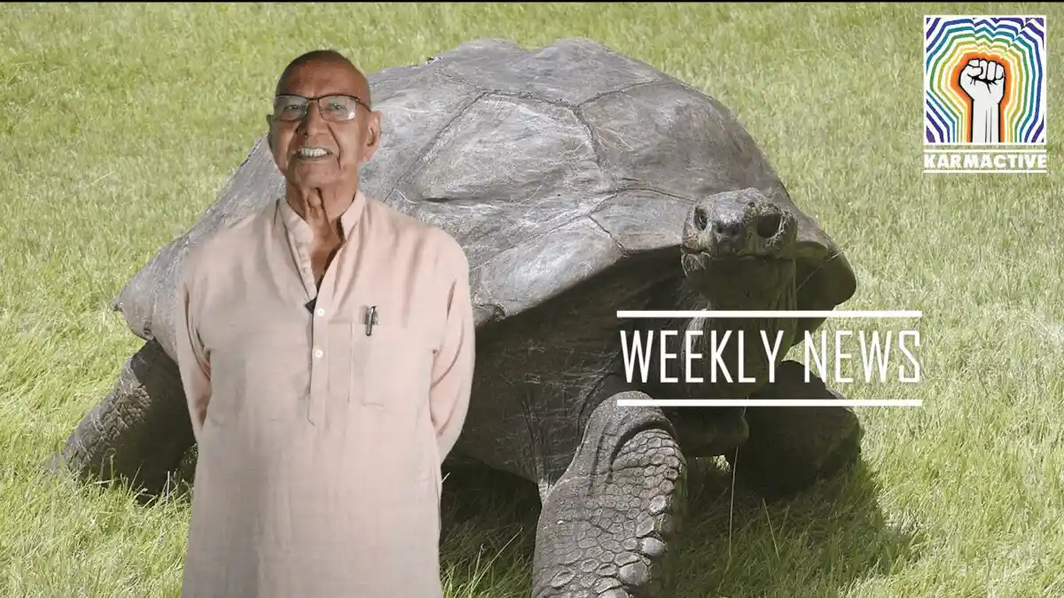 Deflated Animal World's Oldest Land Animal, Luxury Vehicle Tyres Deflated Globally ...