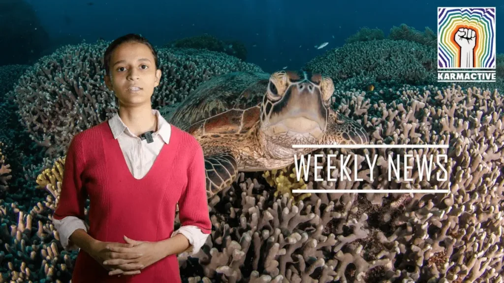 Bitcoin’s Carbon Footprint, Big Oil “Greenwashing”, COP15 Underway & More – Weekly News