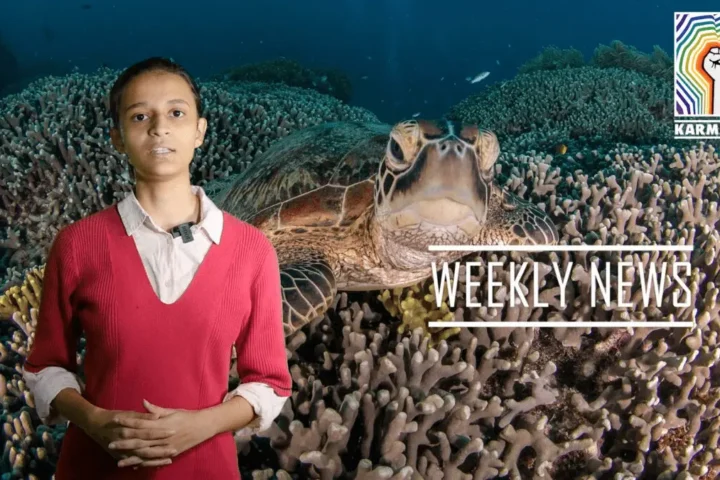 Bitcoin’s Carbon Footprint, Big Oil “Greenwashing”, COP15 Underway & More – Weekly News