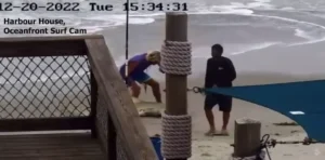 Hammer Attack on Shark Leads to Tougher Fishing Laws in Florida
