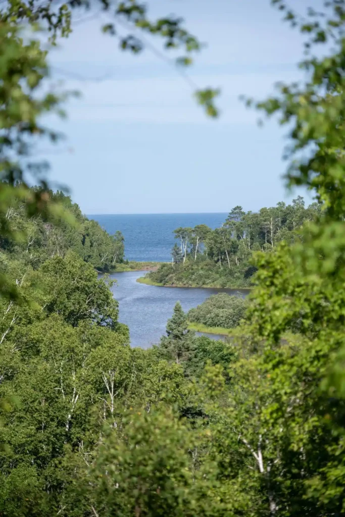 Biden Administration’s Controversial Move to Evacuate Minnesota Forest Region