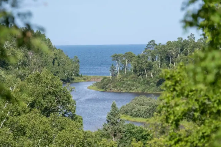 Biden Administration’s Controversial Move to Evacuate Minnesota Forest Region