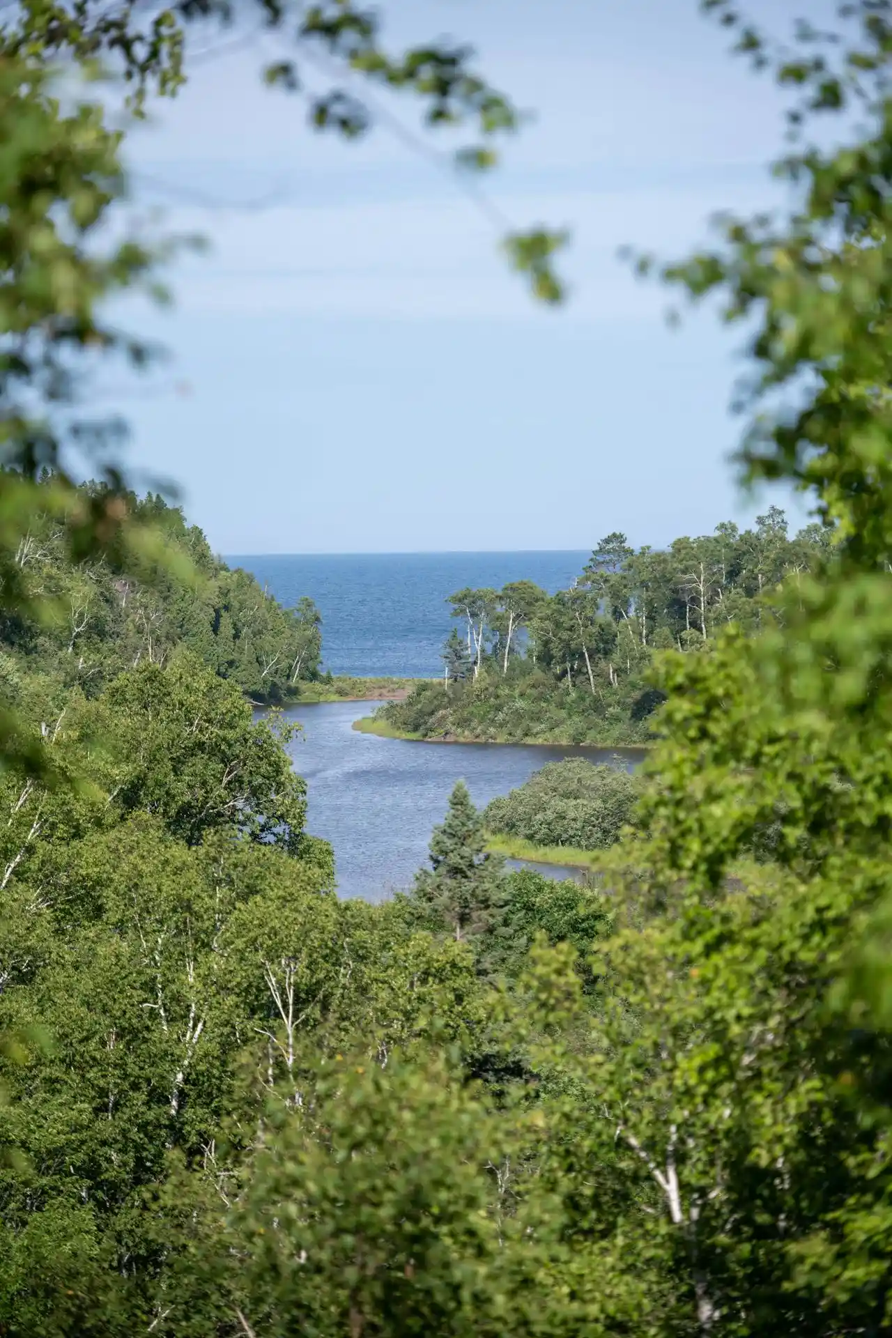 Biden Administration’s Controversial Move to Evacuate Minnesota Forest Region