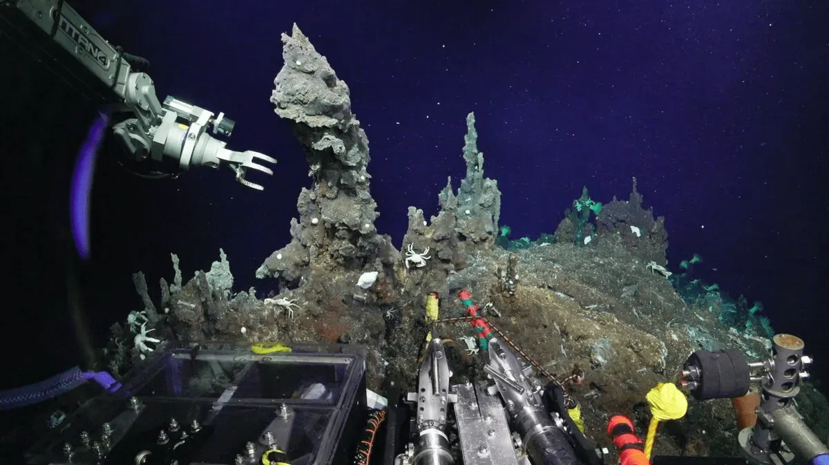 Source - Schmidt Ocean Institute (Representative Image)