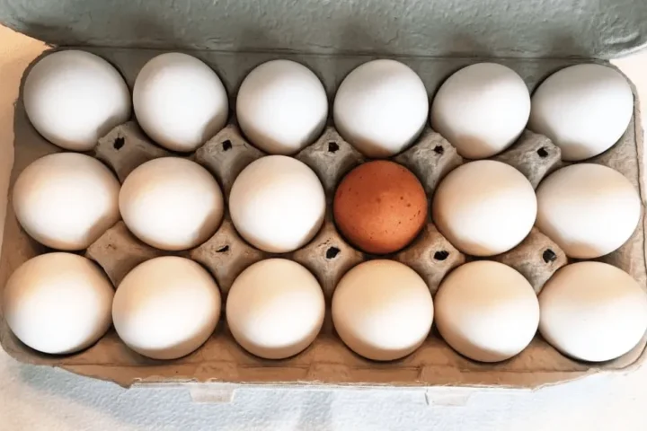 Rise In Eggs Confiscations at U.S.-Mexico Border due to Price Differences