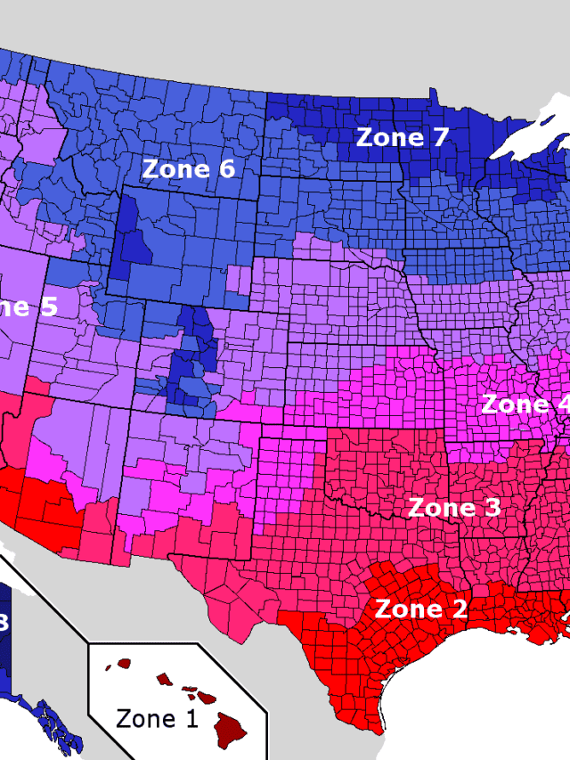 Climate Change is Making Allergy Season Worse A New Study Reveals How Much Brutal It Has