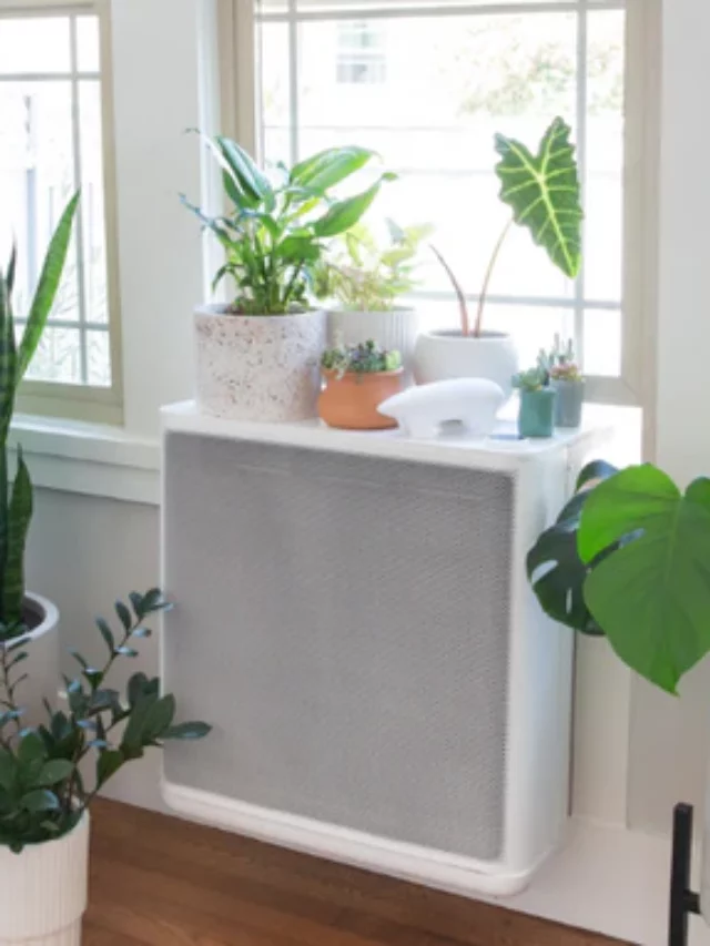 Innovating Air Conditioning A Sustainable Alternative For Cooler