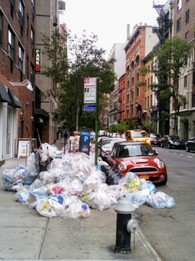 NYC Changes Outdated Trash Rules to Reduce Rodent Problems in New York