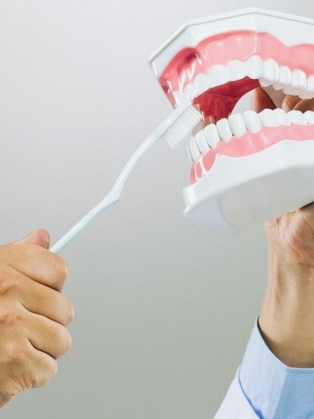 Japanese Scientists on the Verge of A Dental Breakthrough with the