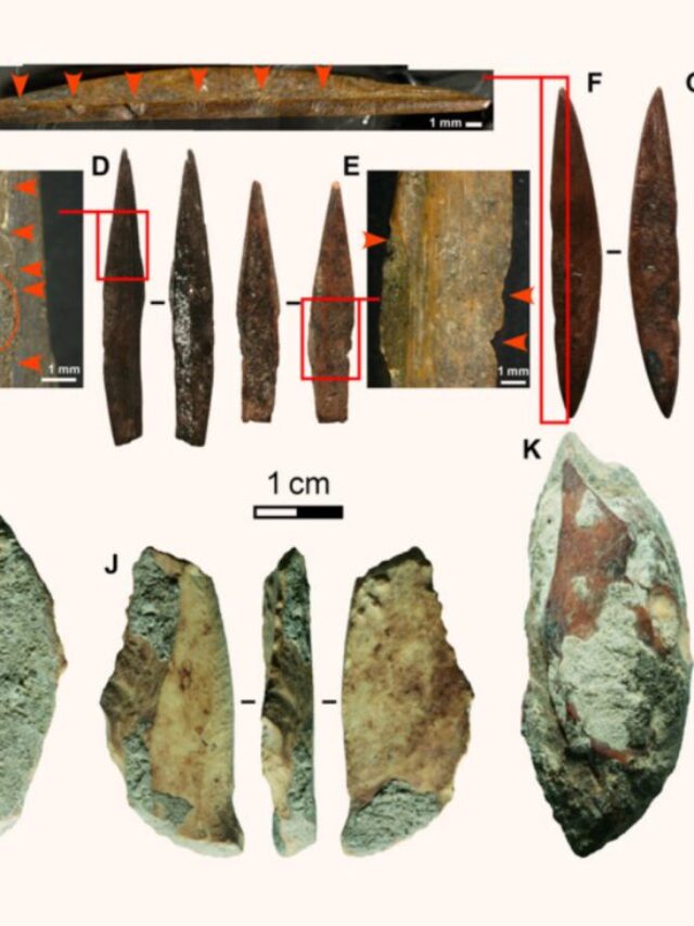 Earliest Bow and Arrow Use Found in Sri Lankan Rainforests: Unveiling ...