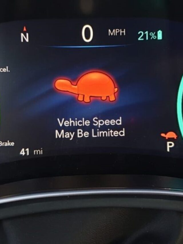 Turtle Mode Unraveled The Harrowing Battle Of EV Survival Karmactive 