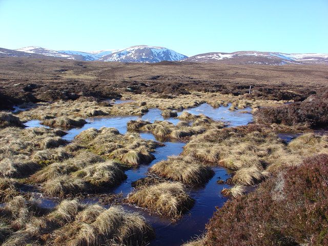 Peatlands Restoration