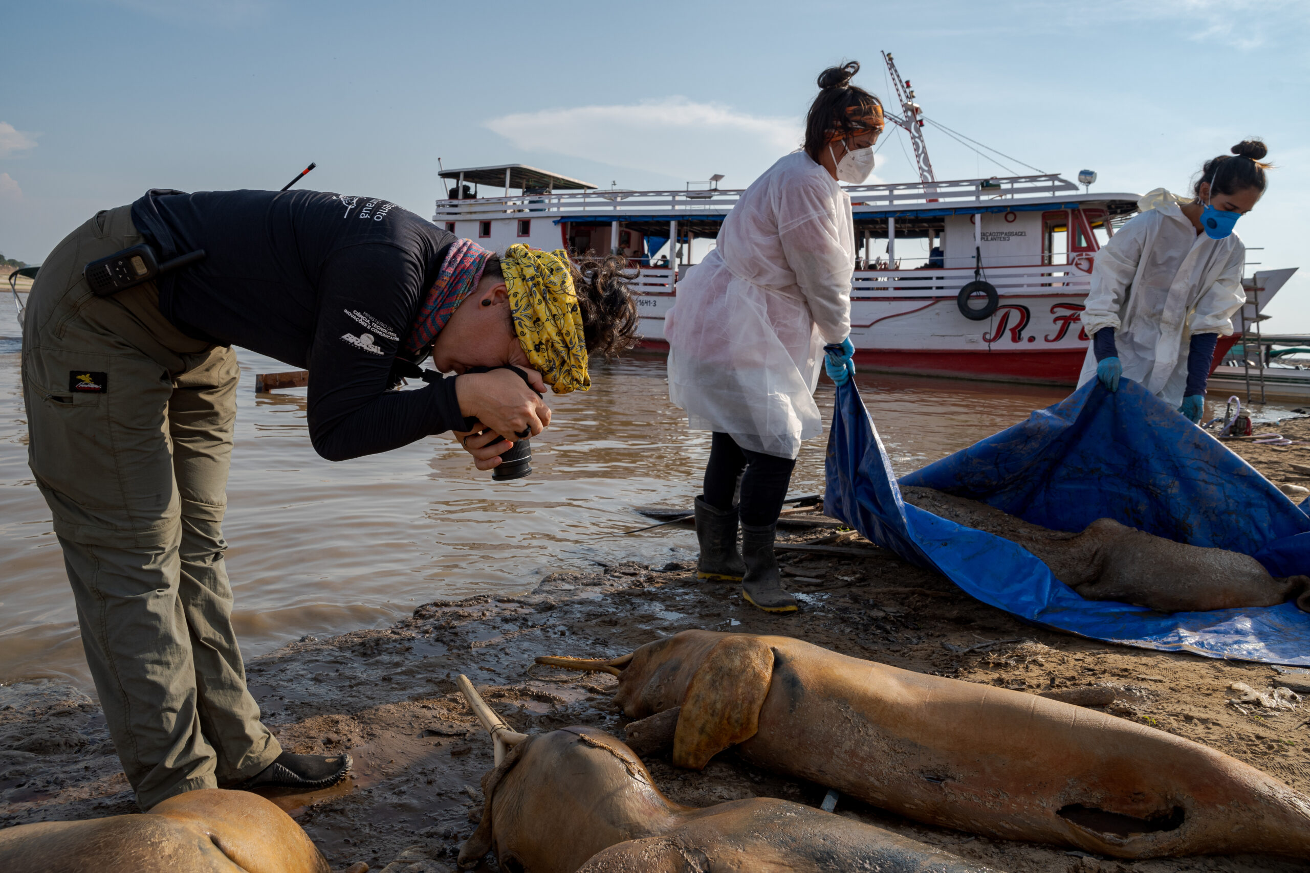 River Dolphins at the Brink