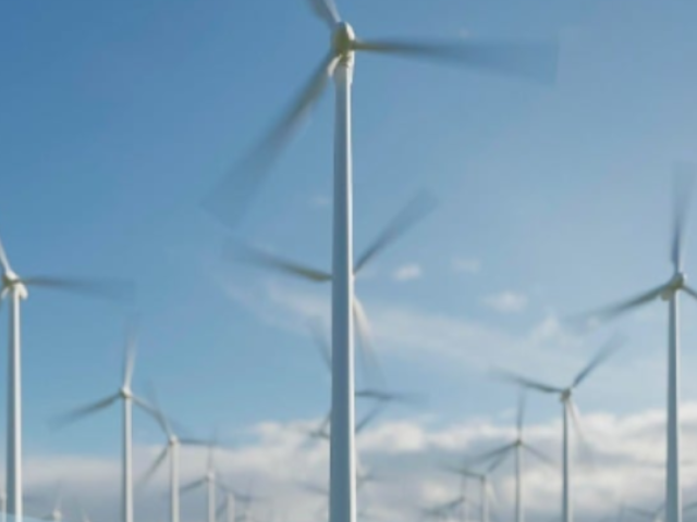 LM Wind Zebra Blade (1)