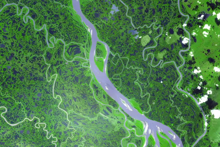 Like a conveyer belt of carbon, the Mackenzie River, seen here in 2007 from NASA’s Terra satellite, drains an area of almost 700,000 square miles (1.8 million square kilometers) on its journey north to the Arctic Ocean. Some of the carbon originates from thawing permafrost and peatlands.