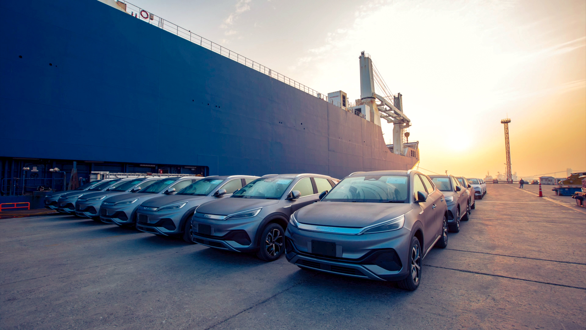 BYD Passengers Vehicles at Port