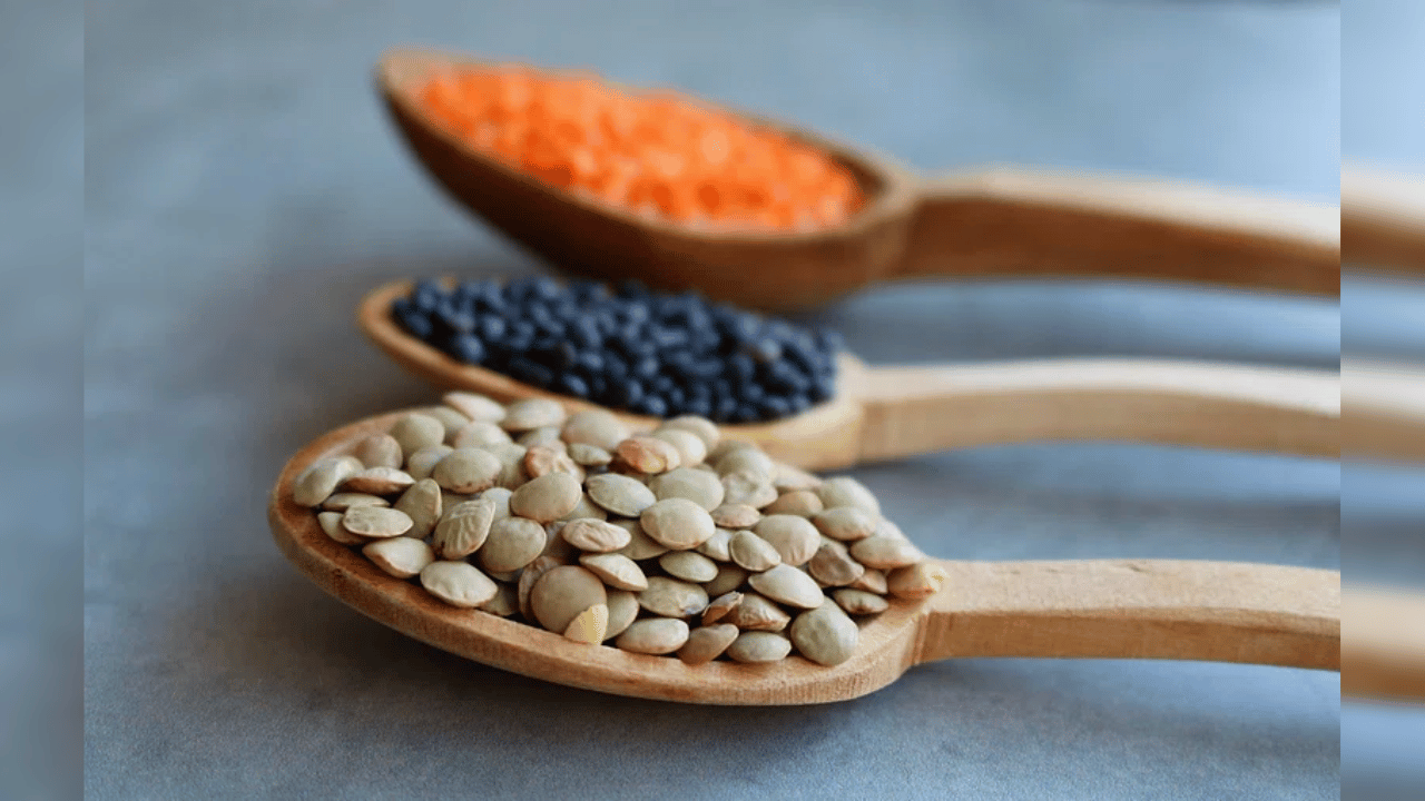 lentils in wooden spoon.