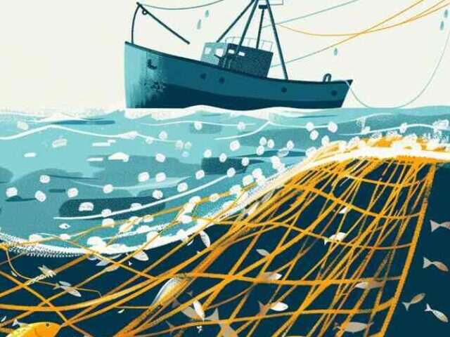 cropped-ra5om_A_fishing_net_with_fish_inside_is_being_pulled_from_the_b_bd2a5aa6-2664-4fef-80c6-aa3c988eb793.jpg
