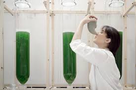 EcoLogicStudio Harnesses Algae for Urban Air Purification, Matching Mature Tree CO2 Absorption