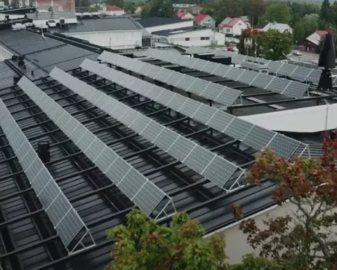 Global Head of Infrastructure & Sustainability, Google ( Credit: Ben Townsend )