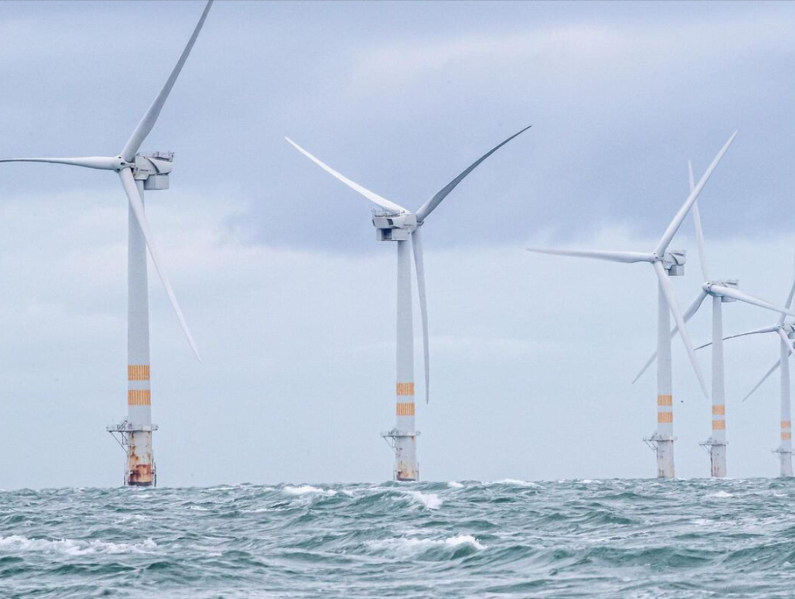 EU Imposes Up to 10-Year Sentences for Deadly Environmental Crimes