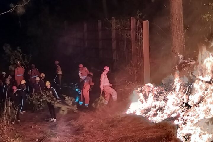 Massive 1500% rise in Himalayan forest fires threatens wildlife and ecosystems Photo Credits: Forest Fire and Disaster Management Uttarakhand