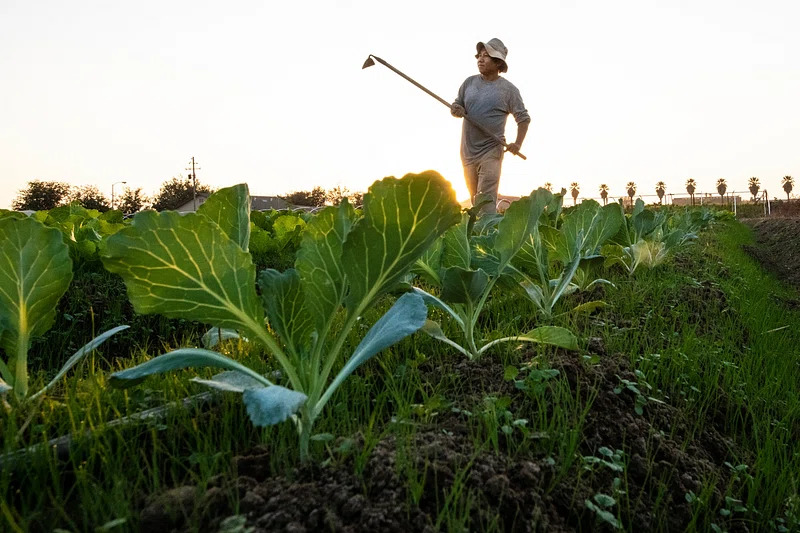 As Record Heat Threatens Millions, Biden's Proposal Seeks to Safeguard Workers' Lives
