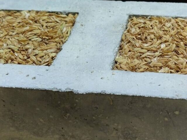 Concrete component made of recycled aggregates and rice husk ash with rice straw insulation. Photo Credit: (Fraunhofer WKI)