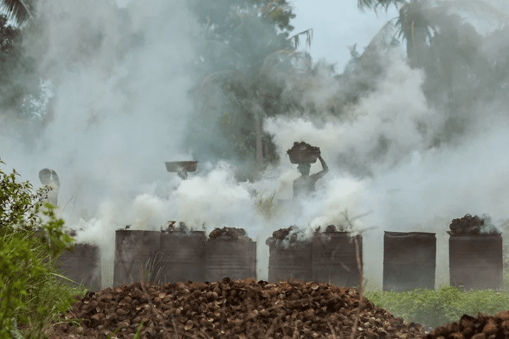 Air Pollution Now More Dangerous For Females Compared To Males