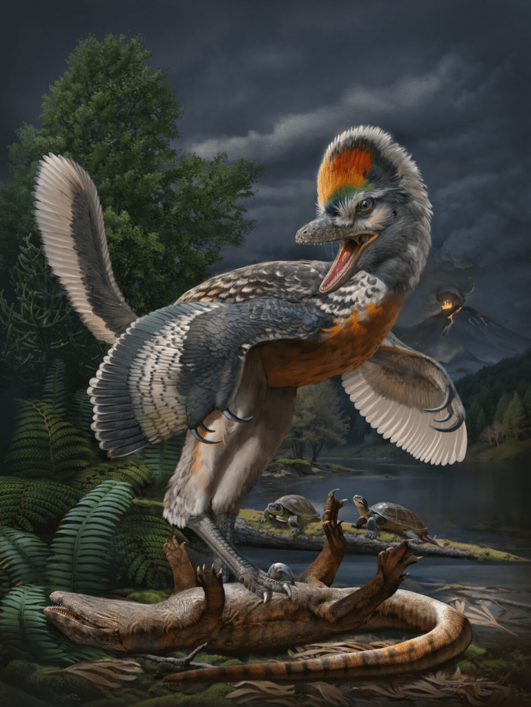 Life reconstruction of the 150-million-year-old avialan theropod Fujianvenator prodigiosus. (Image by ZHAO Chuang)