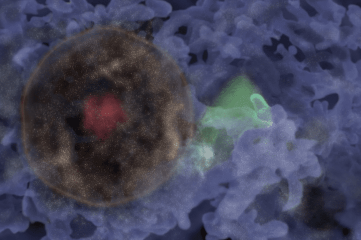 Illustration of Hoʻoleilana. Red region (left) shows the enclosed shell with individual galaxies.