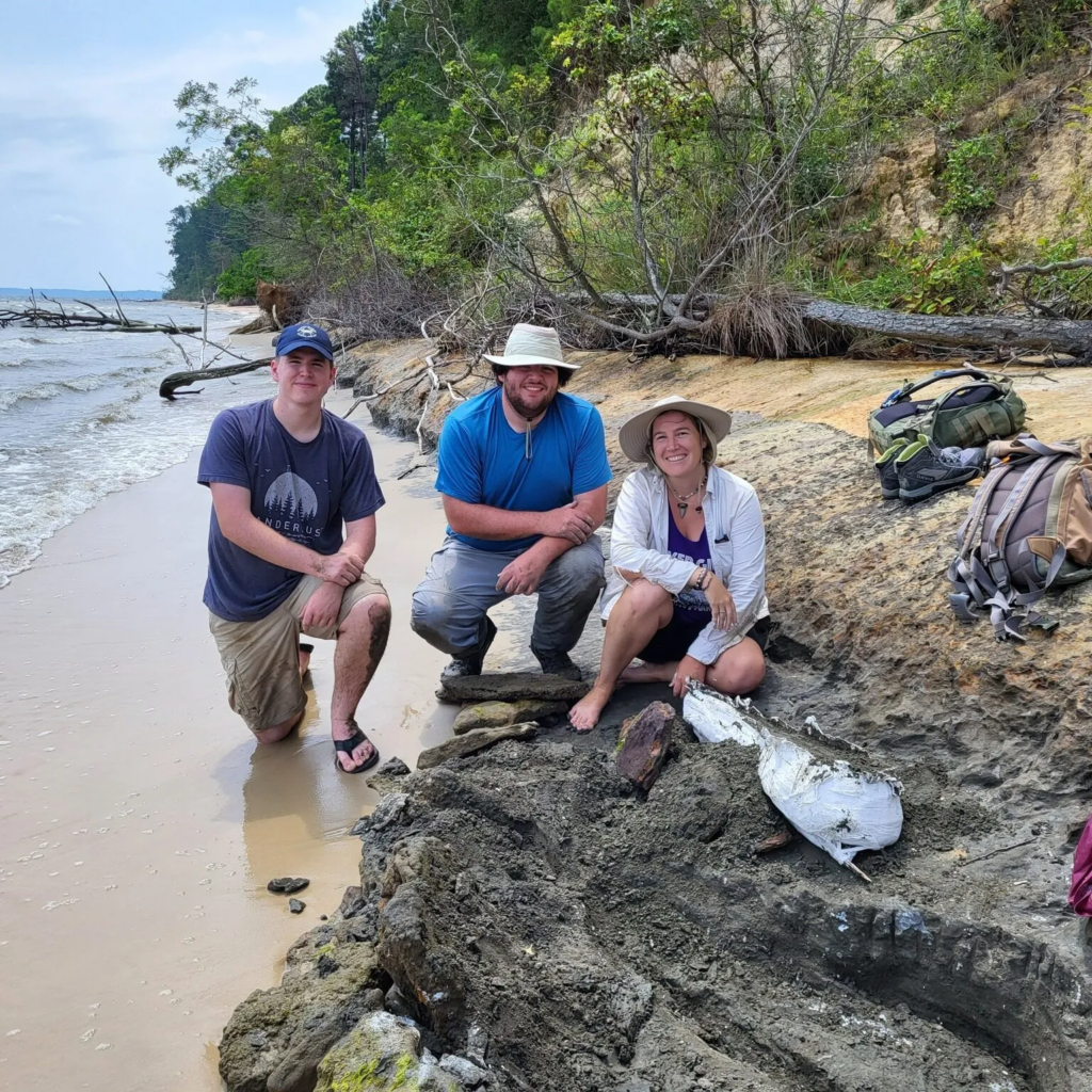 15-Million-Year-Old Dolphin Skull Found