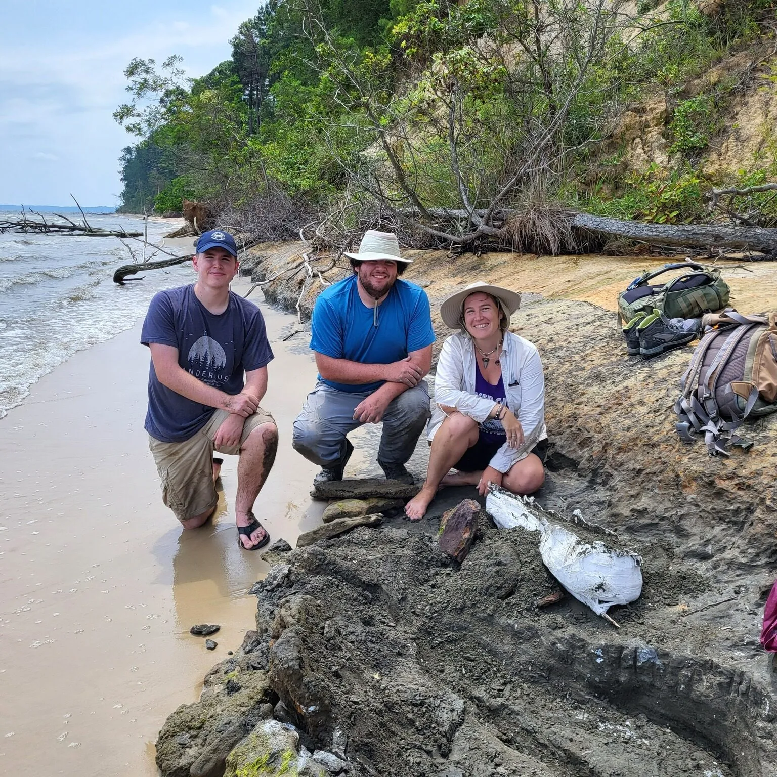 15-Million-Year-Old Dolphin Skull Found