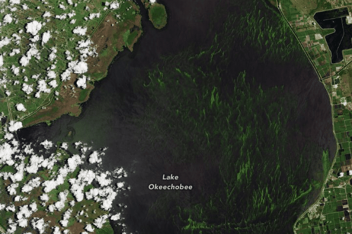 Florida's Lake Okeechobee