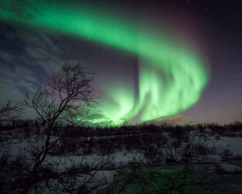 Northern lights