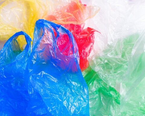 Plastic Bags on the Floor.