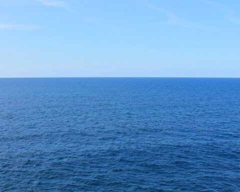 Ocean water.