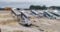 Cyclone Fengal’s Fury: Puducherry’s 48.4cm Rainfall Shatters 30-Year Record Amid Devastating Floods