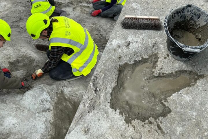 Excavated footprint. Photo Source: Oxford University Museum of Natural History.j