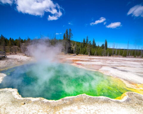 Representative Image. The biggest volcano on the planet is the Yellowstone Caldera. A volcano this size can make lifo on this planet harsh for many years when it erupts. Until that day mud pools and springs where hot water is rising to the surface offer spectacular views.