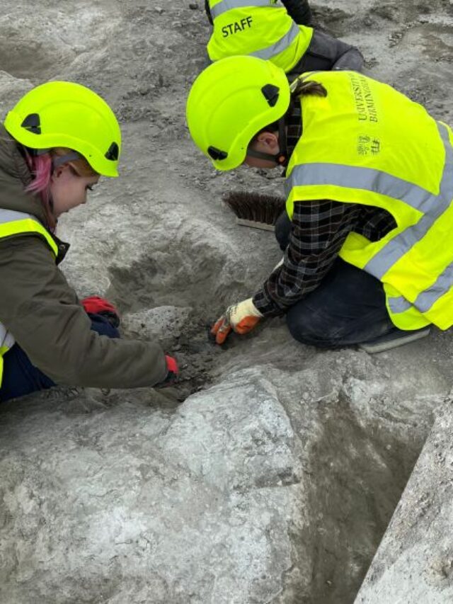 200-dinosaur-footprints-found-in-uk-s-largest-trackway-site-karmactive